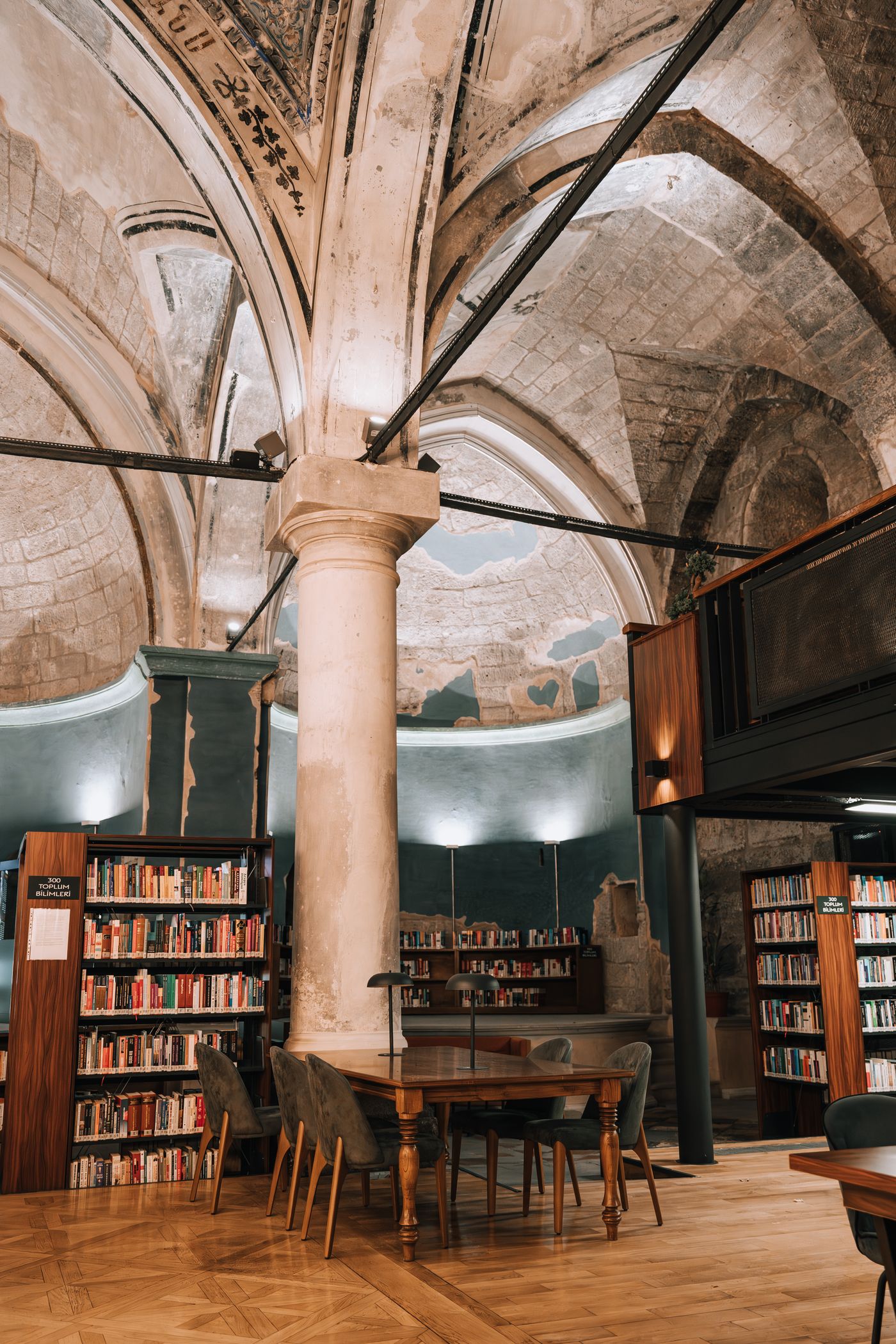 Library shelves beneath Gothic stone arches, illustrating an institution of knowledge.