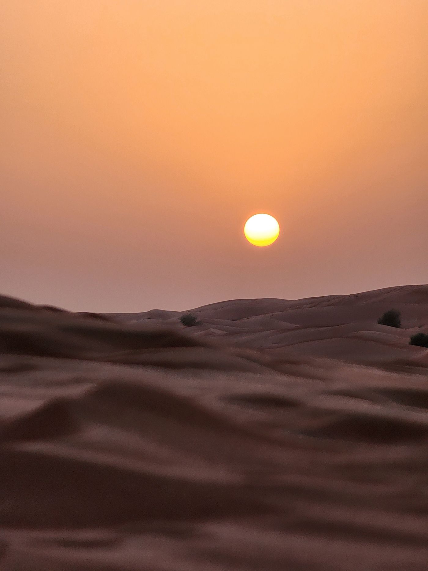 Low sun over desert dunes, a thematic photograph for Dorne’s distinct landscape.