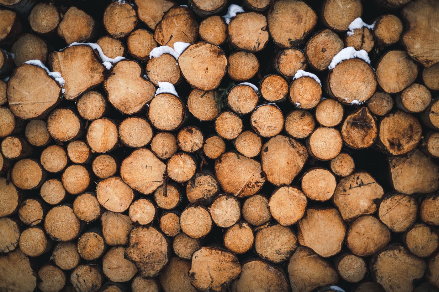 Cut firewood stacked beneath patches of snow, illustrating winter preparation.